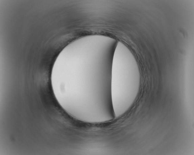 X0000114230593200910231505