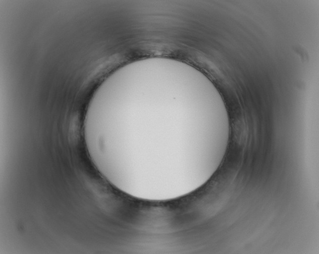 X0000114230594200910231505