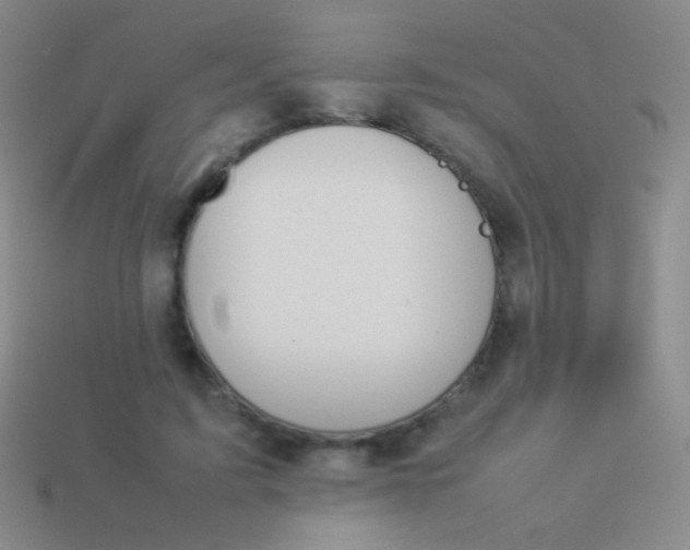 X0000114230595200910231505