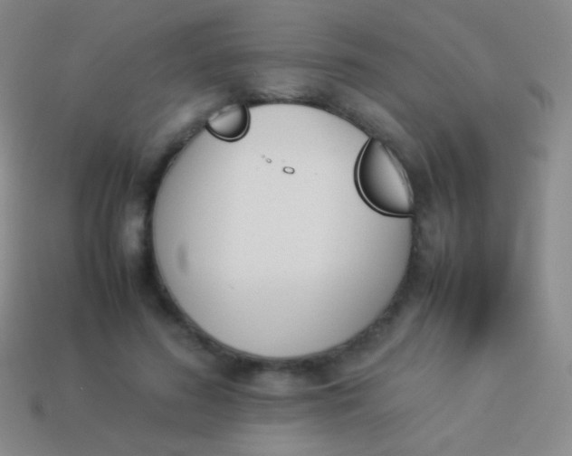X0000114230596200910231505