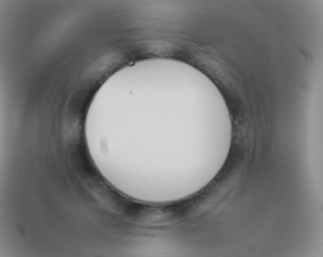 X0000114230597200910231505