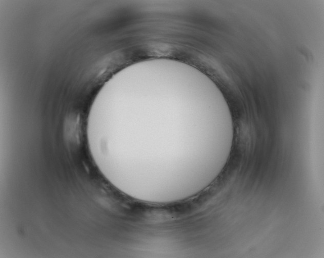 X0000114230598200910231505