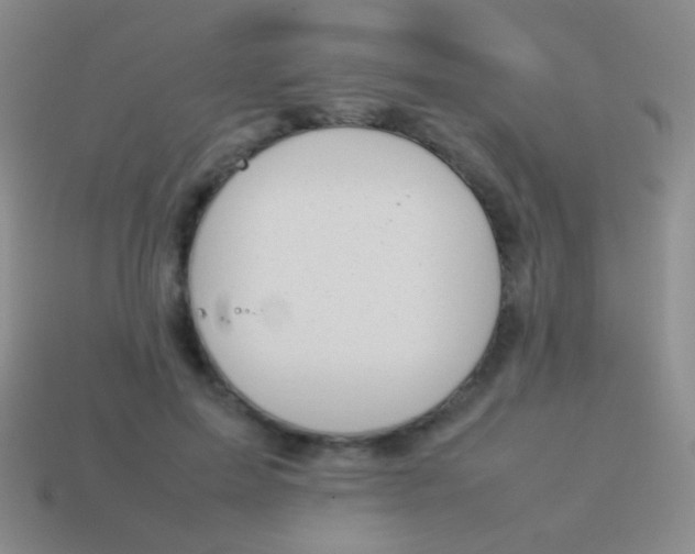 X0000114230599200910231505