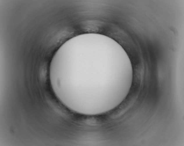 X0000114230600200910231505