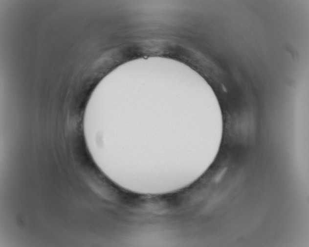 X0000114230601200910231505
