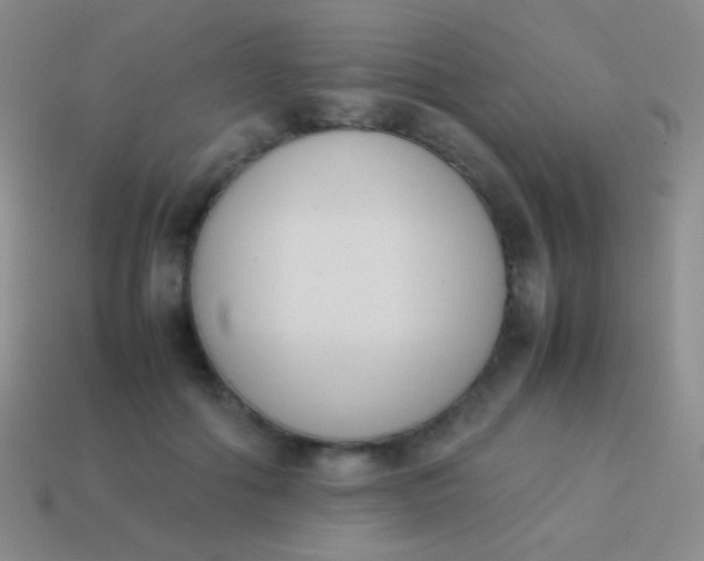 X0000114230602200910231505