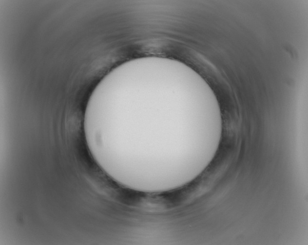 X0000114230603200910231505