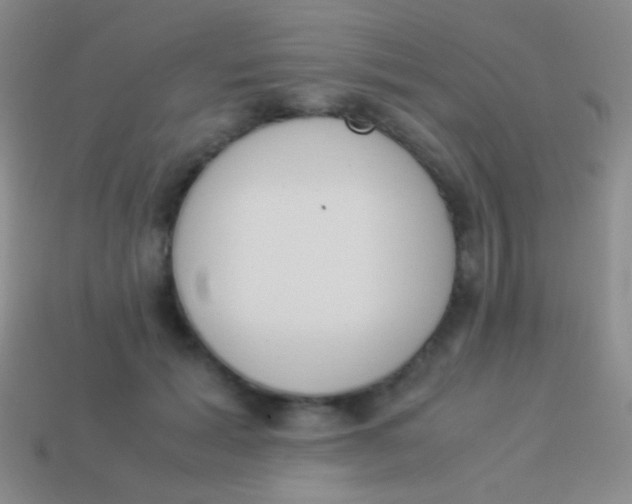 X0000114230605200910231505