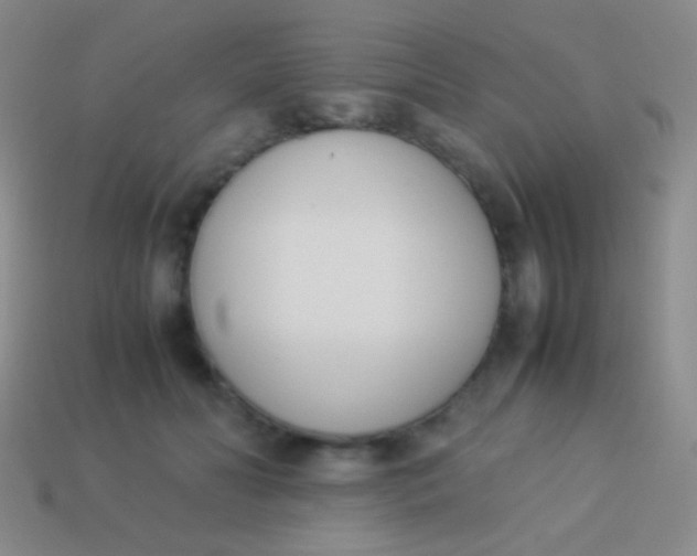 X0000114230606200910231505