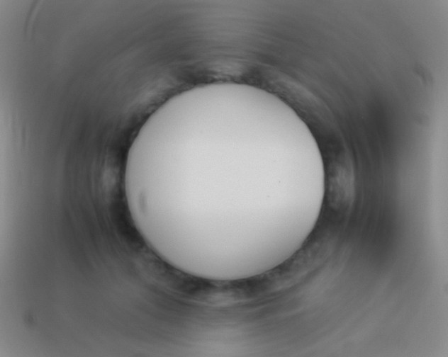 X0000114230608200910231505