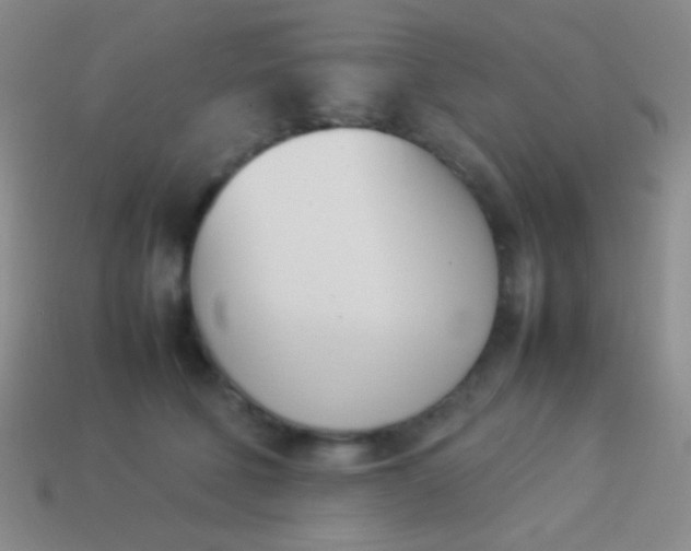 X0000114230610200910231505