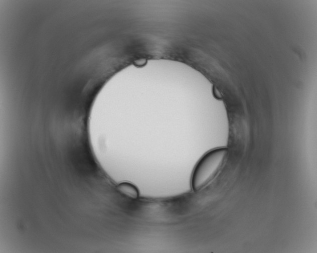 X0000114230611200910231505