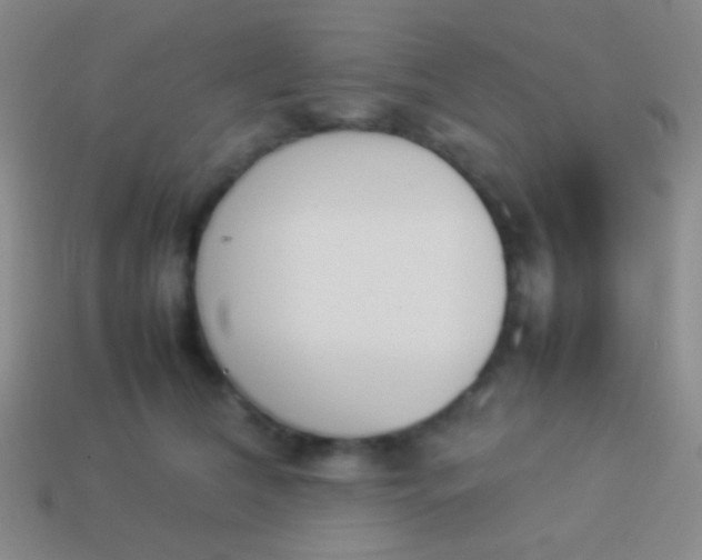 X0000114230612200910231505