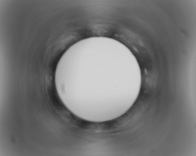 X0000114230615200910231505