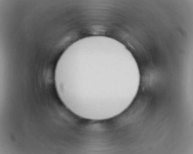 X0000114230620200910231505