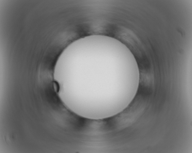 X0000114230621200910231505