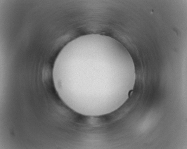X0000114230623200910231505