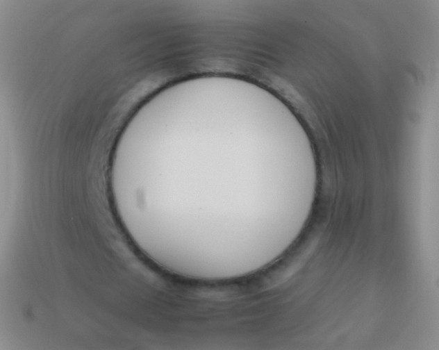 X0000114230625200910231504