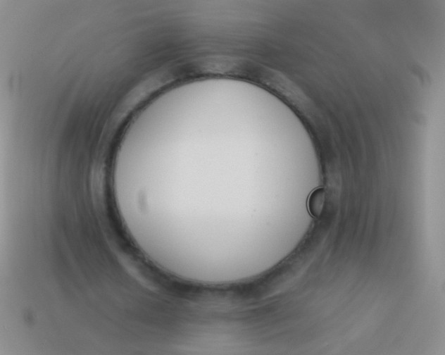 X0000114230626200910231504