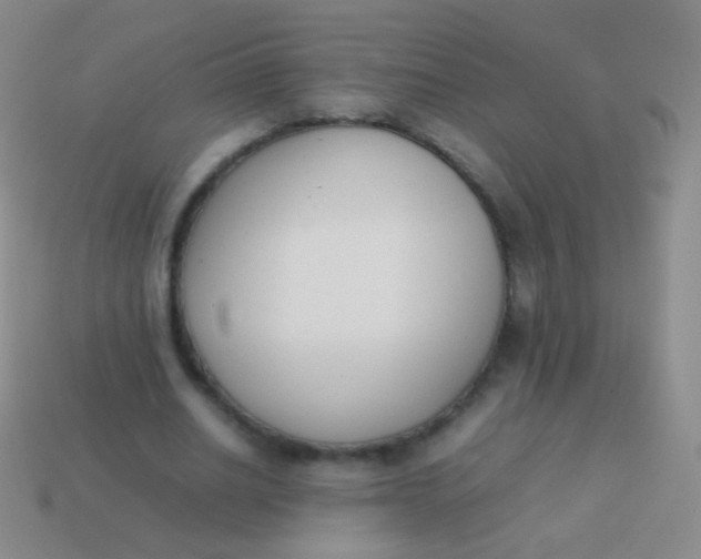 X0000114230630200910231504