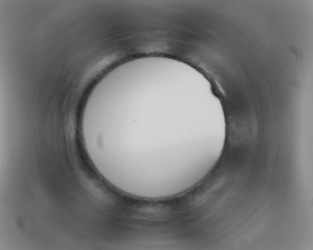 X0000114230631200910231504