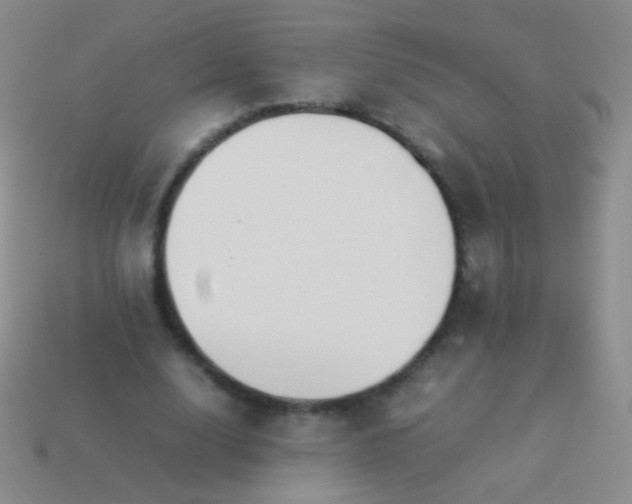 X0000114230632200910231504