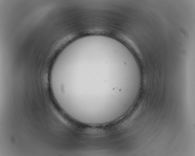 X0000114230633200910231504