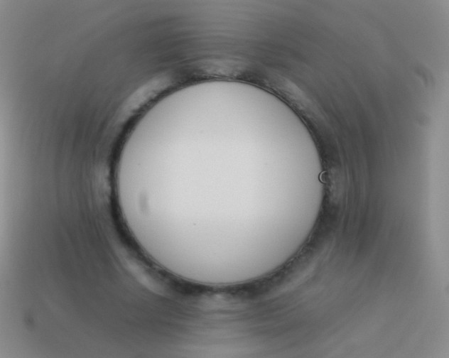 X0000114230634200910231504