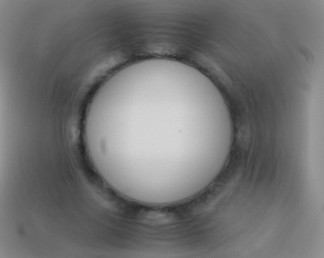 X0000114230635200910231504