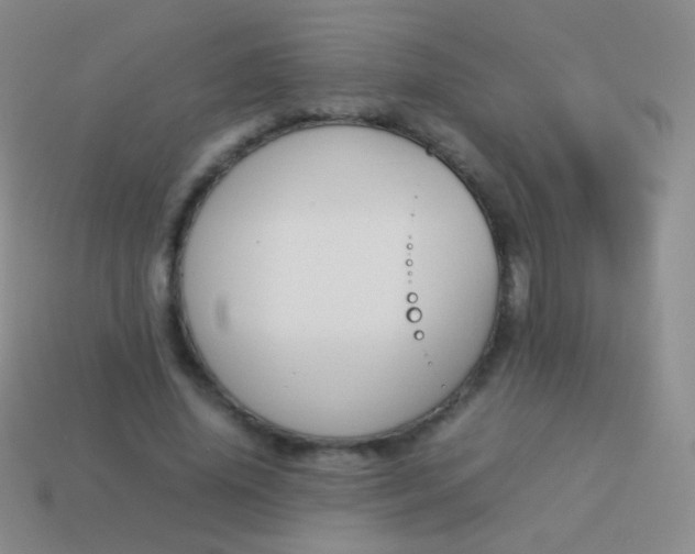 X0000114230636200910231504