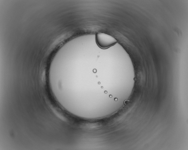 X0000114230638200910231504