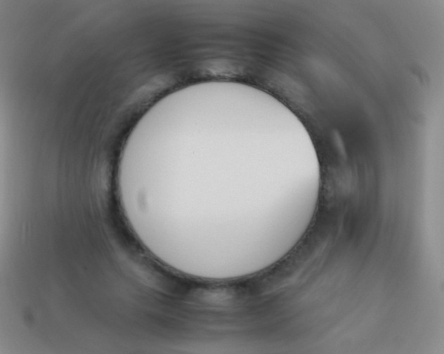 X0000114230639200910231504