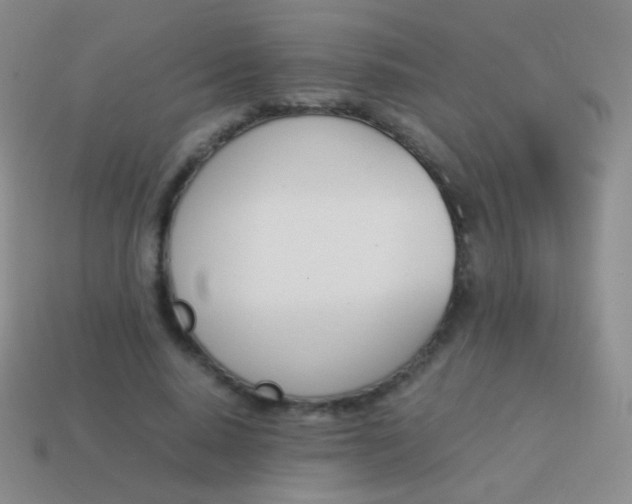 X0000114230640200910231504
