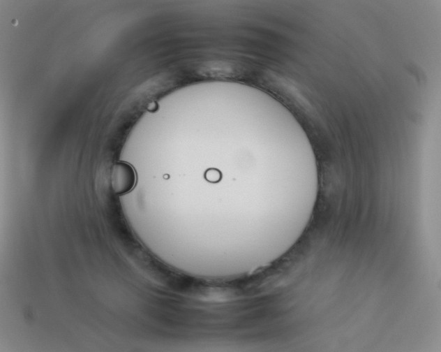 X0000114230645200910231504