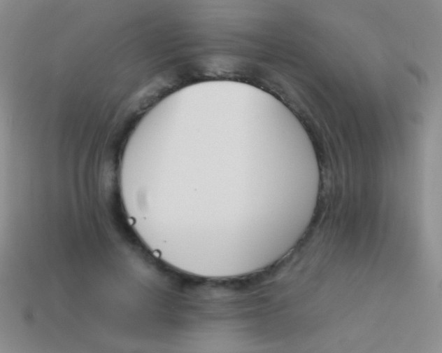 X0000114230648200910231505