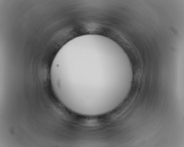 X0000114230651200910231505
