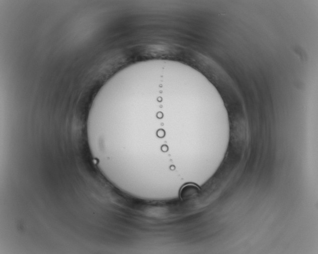X0000114230653200910231505
