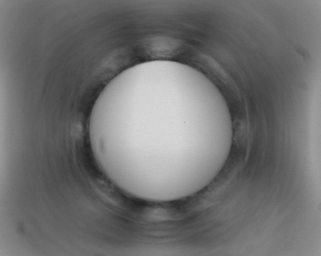 X0000114230655200910231505
