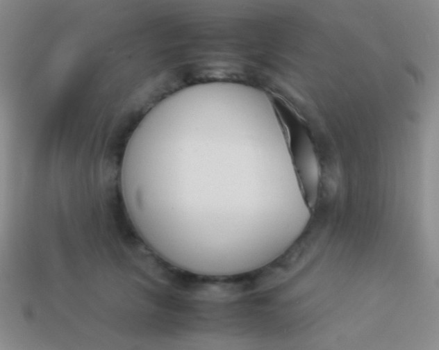 X0000114230657200910231505