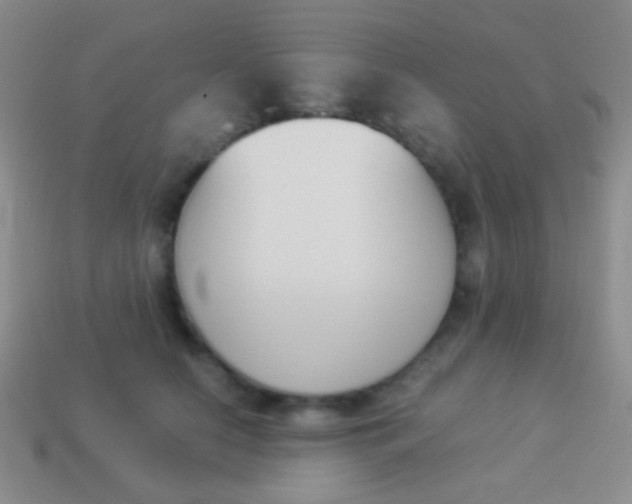 X0000114230658200910231505