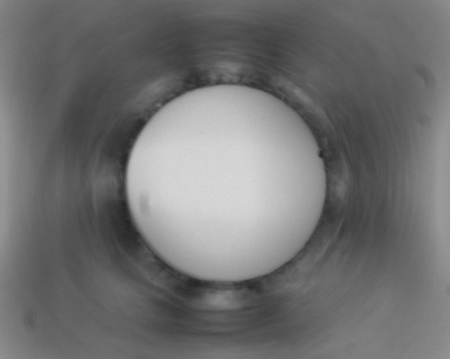 X0000114230661200910231505