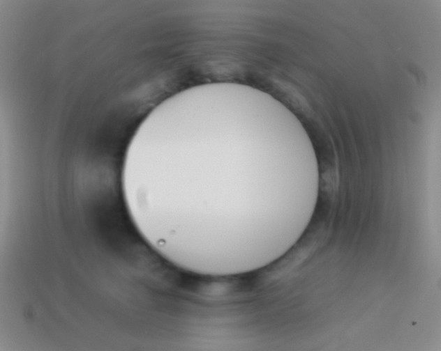 X0000114230662200910231505