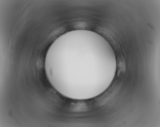 X0000114230665200910231505
