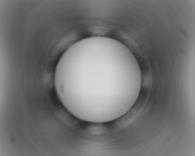 X0000114230666200910231505