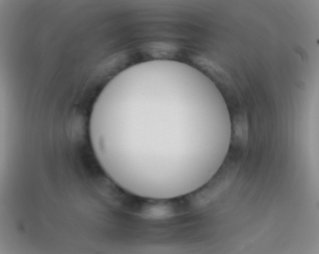 X0000114230667200910231505