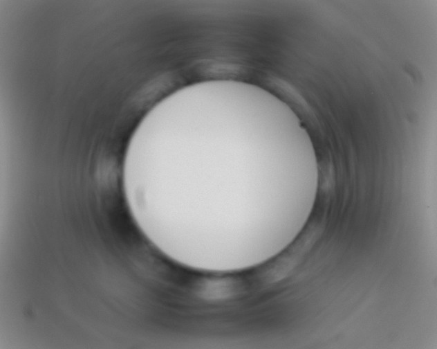 X0000114230669200910231505
