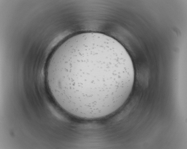 X0000114230674200910231504