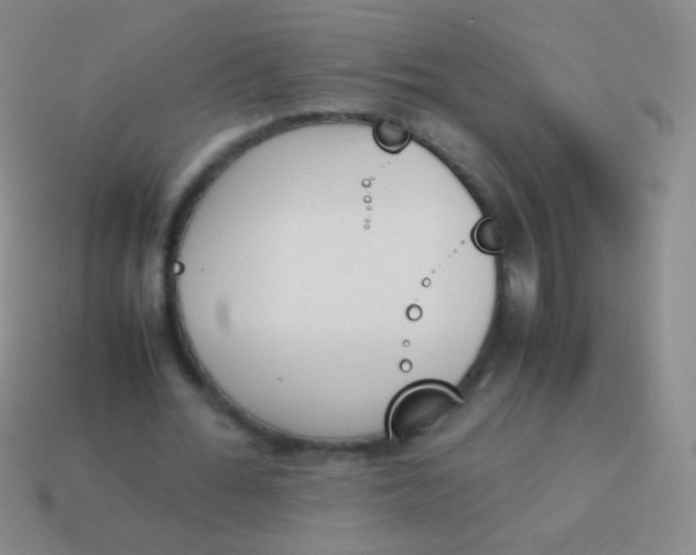 X0000114230676200910231504