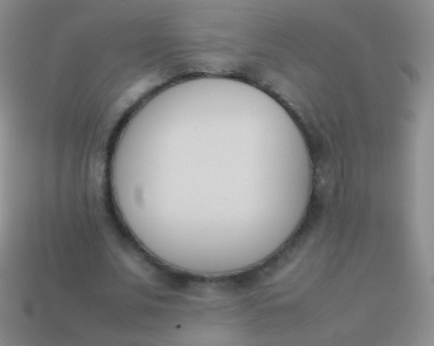 X0000114230679200910231504