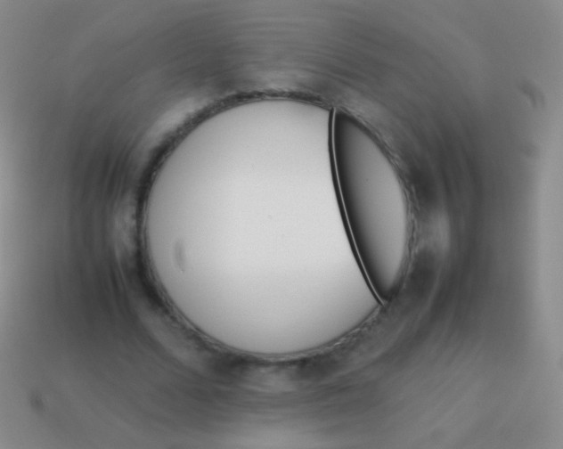 X0000114230680200910231504